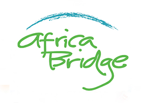 Africa Bridge
